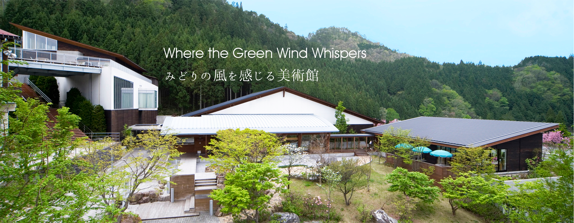 Where the Green Wind Whispers　みどりの風を感じる美術館