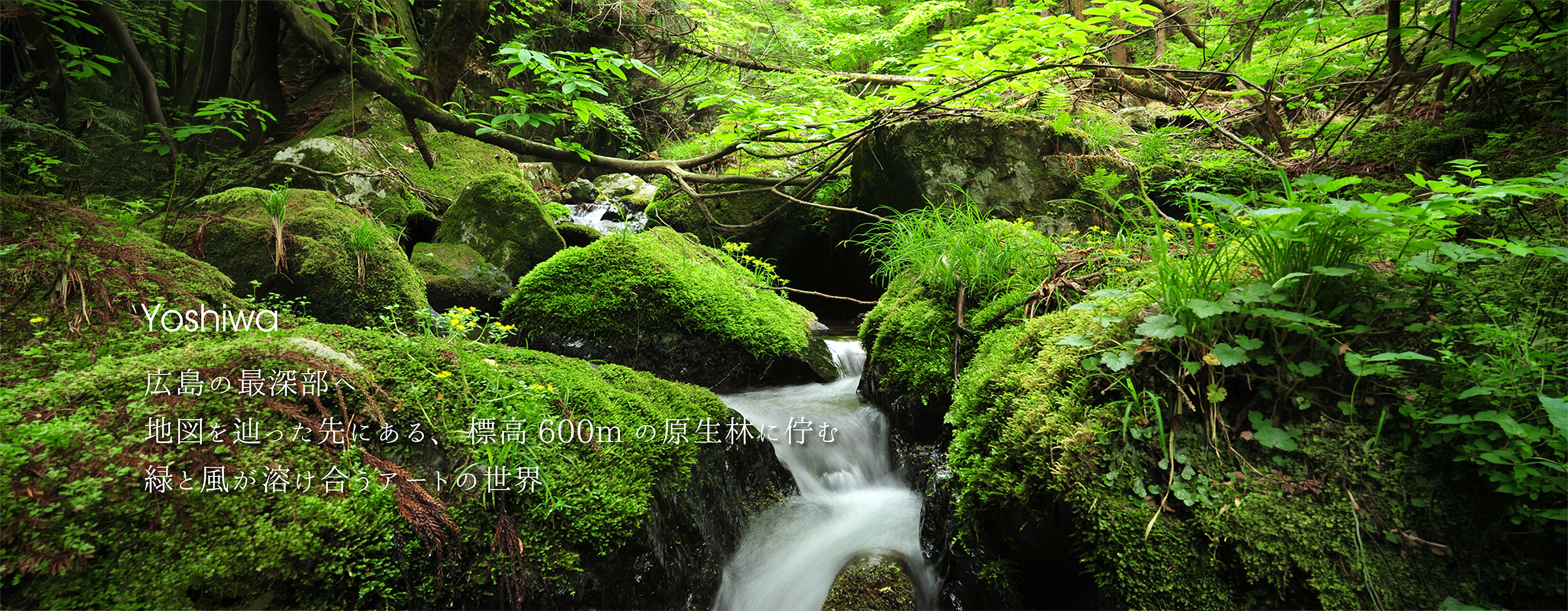 Yoshiwa　広島の最深部 地図を辿った先にある、標高600mの原生林に佇む 緑と風が溶け合うアートの世界