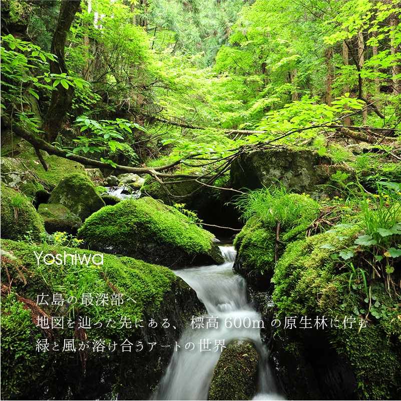 Yoshiwa　広島の最深部 地図を辿った先にある、標高600mの原生林に佇む 緑と風が溶け合うアートの世界